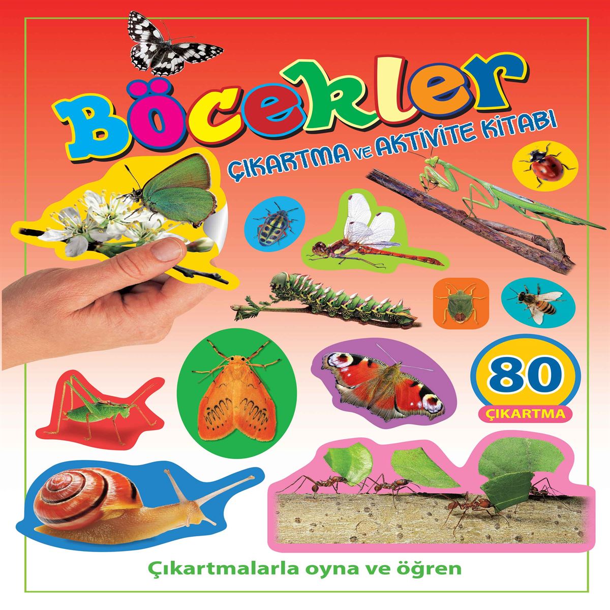 PARILTI ÇIKARTMALARLA OYNA VE ÖĞREN BÖCEKLER 1