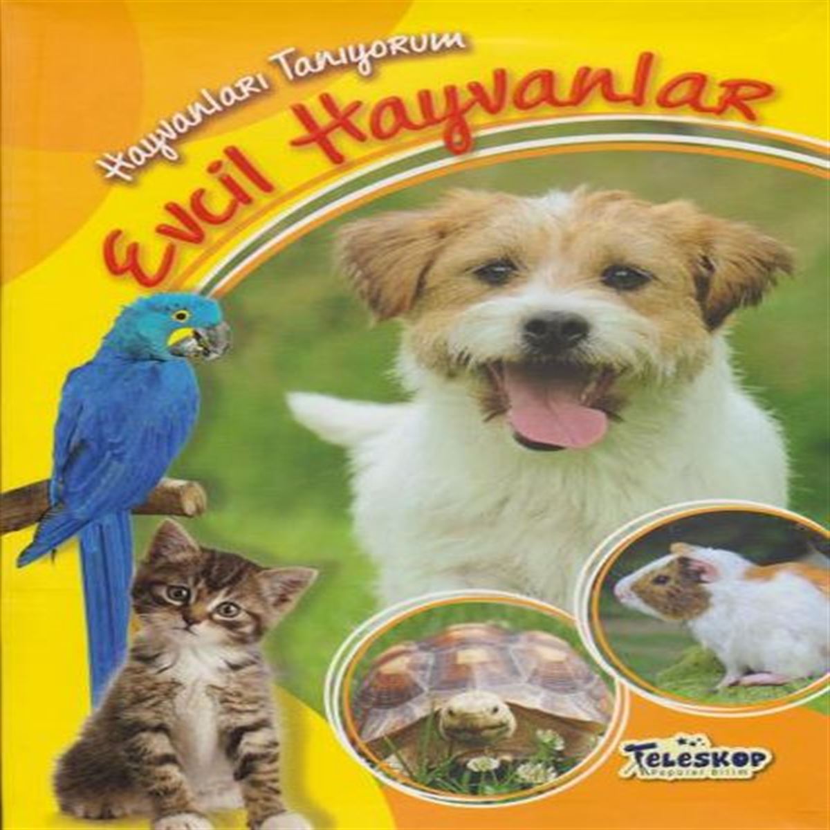 TELESKOP EĞİTİM KİTABI HAYVANLARI TANIYORUM EVCİL HAYVANLAR 1