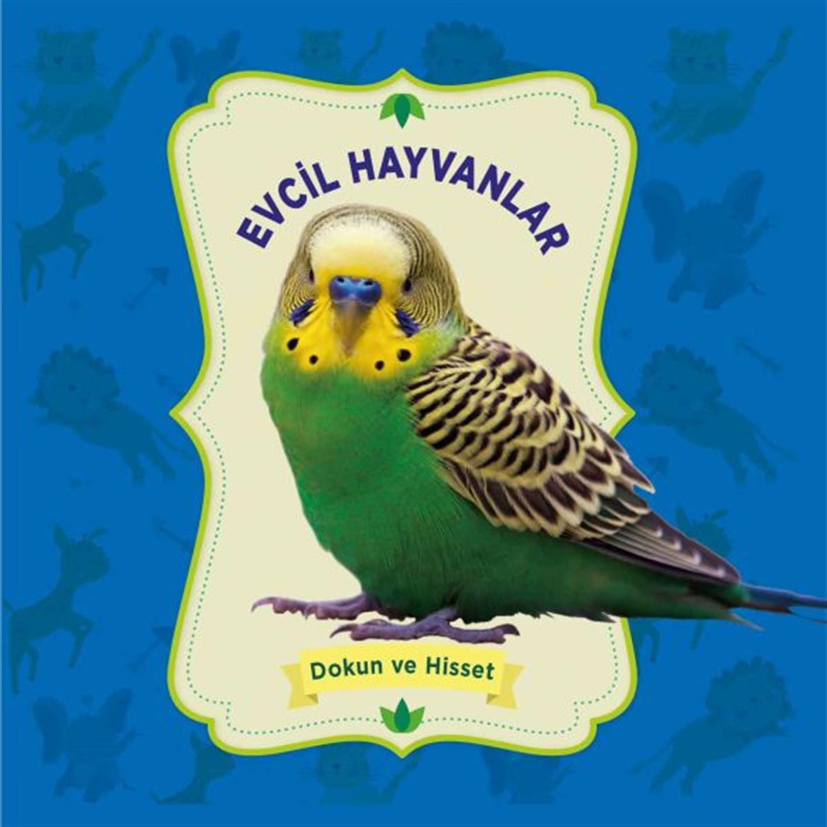 0-6 YAŞ KİŞİSEL GELİŞİM DOKUN VE HİSSET EVCİL HAYVANLAR 1