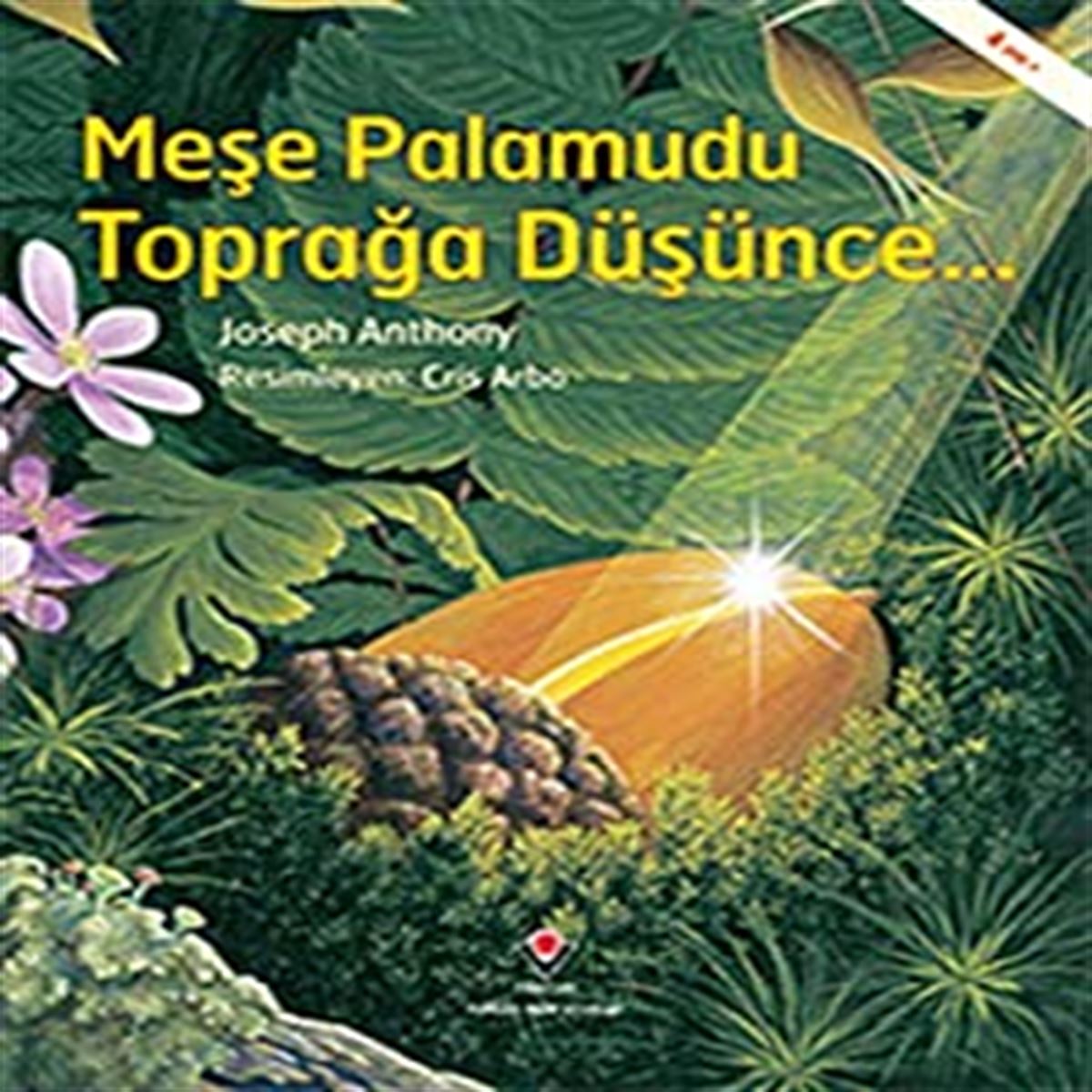 TÜBITAK HİKAYE MESE PALAMUDU TOPRAĞA DÜŞÜNCE 1