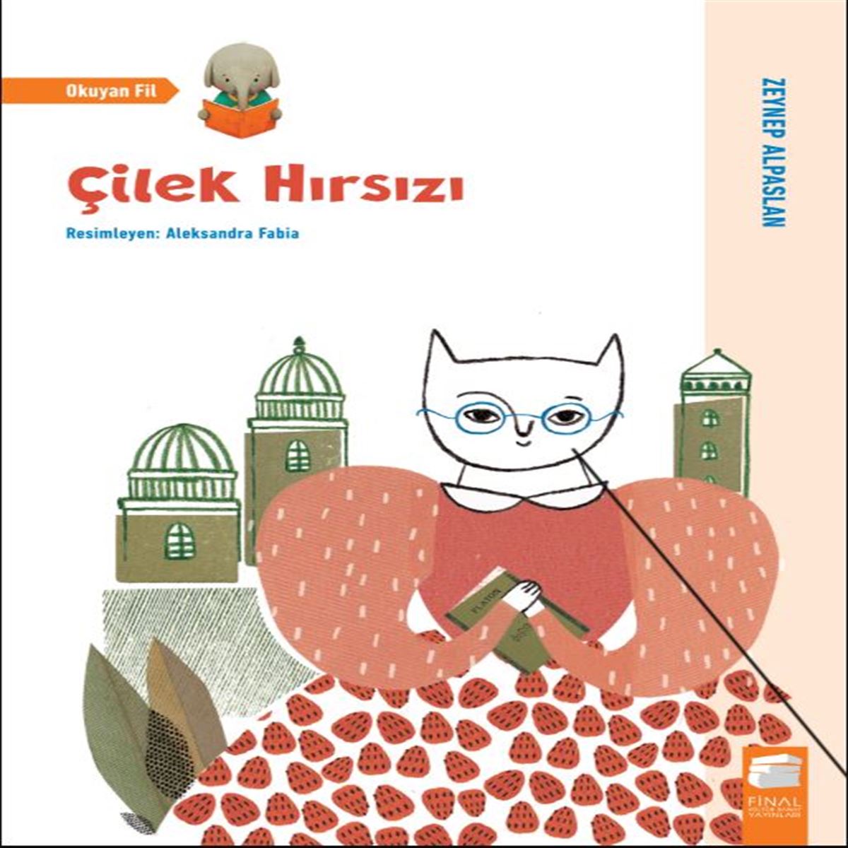 FİNAL HİKAYE ÇİLEK HIRSIZI 1