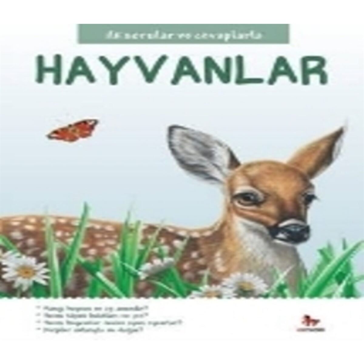 ALMIDILLI HİKAYE HAYVANLAR 1