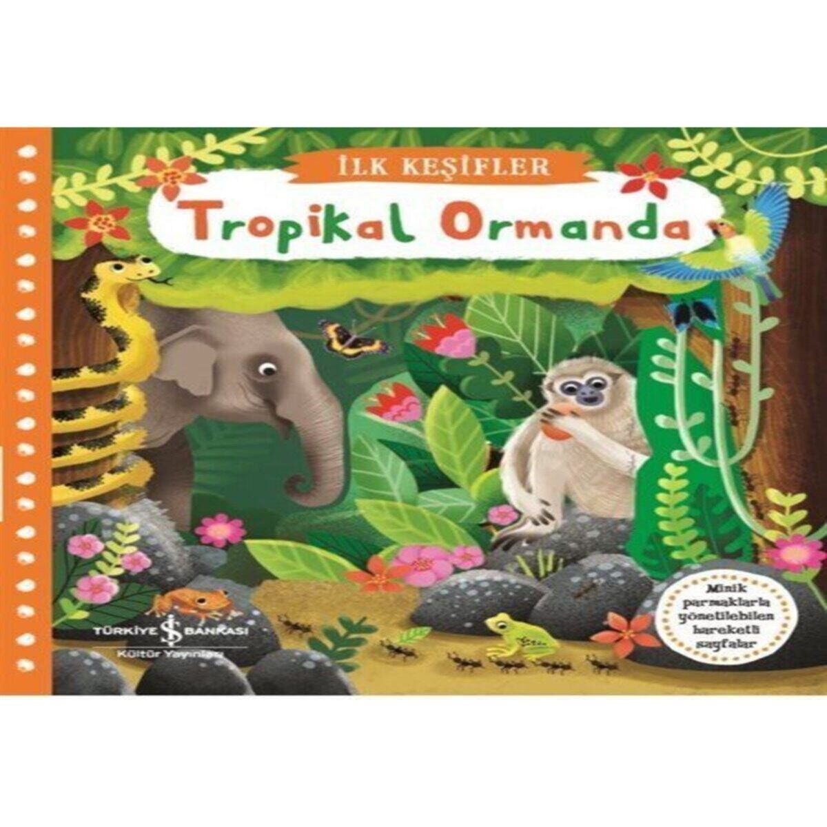 İŞ BANKASI HİKAYE TROPIKAL ORMANDA- İLK KEŞİFLER 1