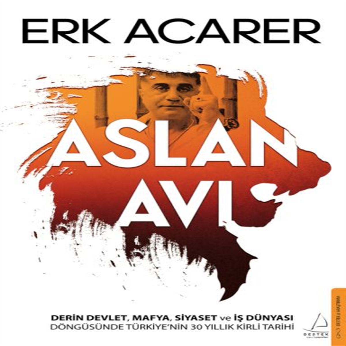 DESTEK ASLAN AVI 1