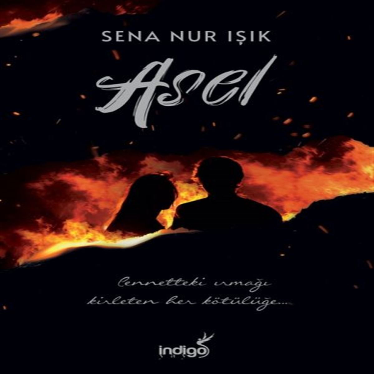 İNDİGO ROMAN ASEL 1