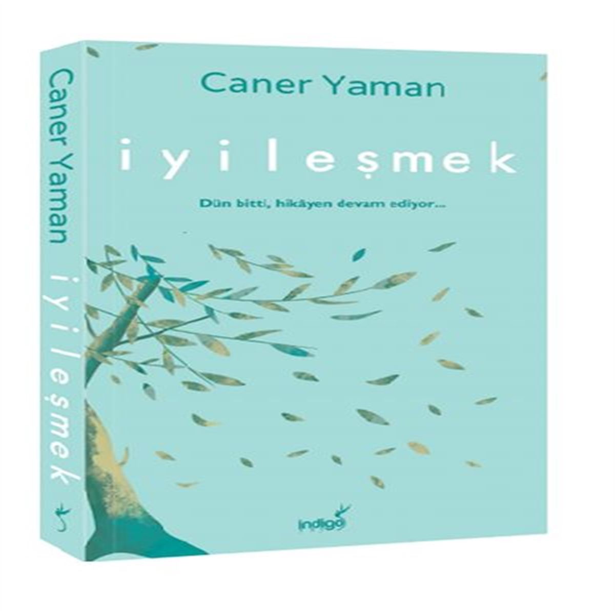 İNDİGO İYİLEŞMEK 1
