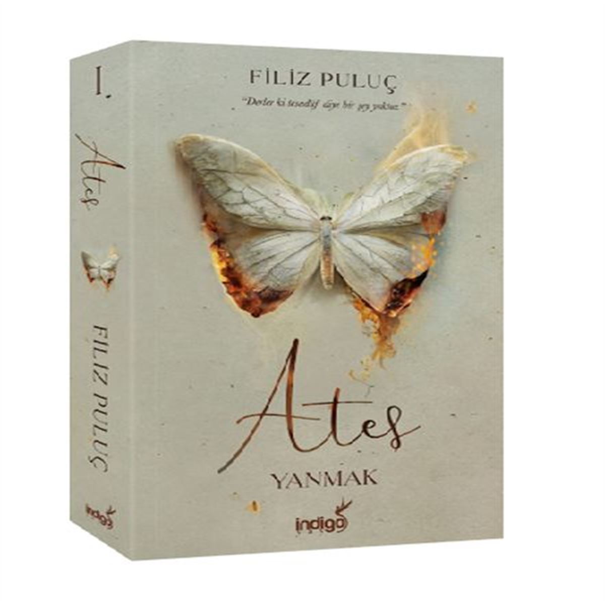 İNDİGO ATEŞ YANMAK 1
