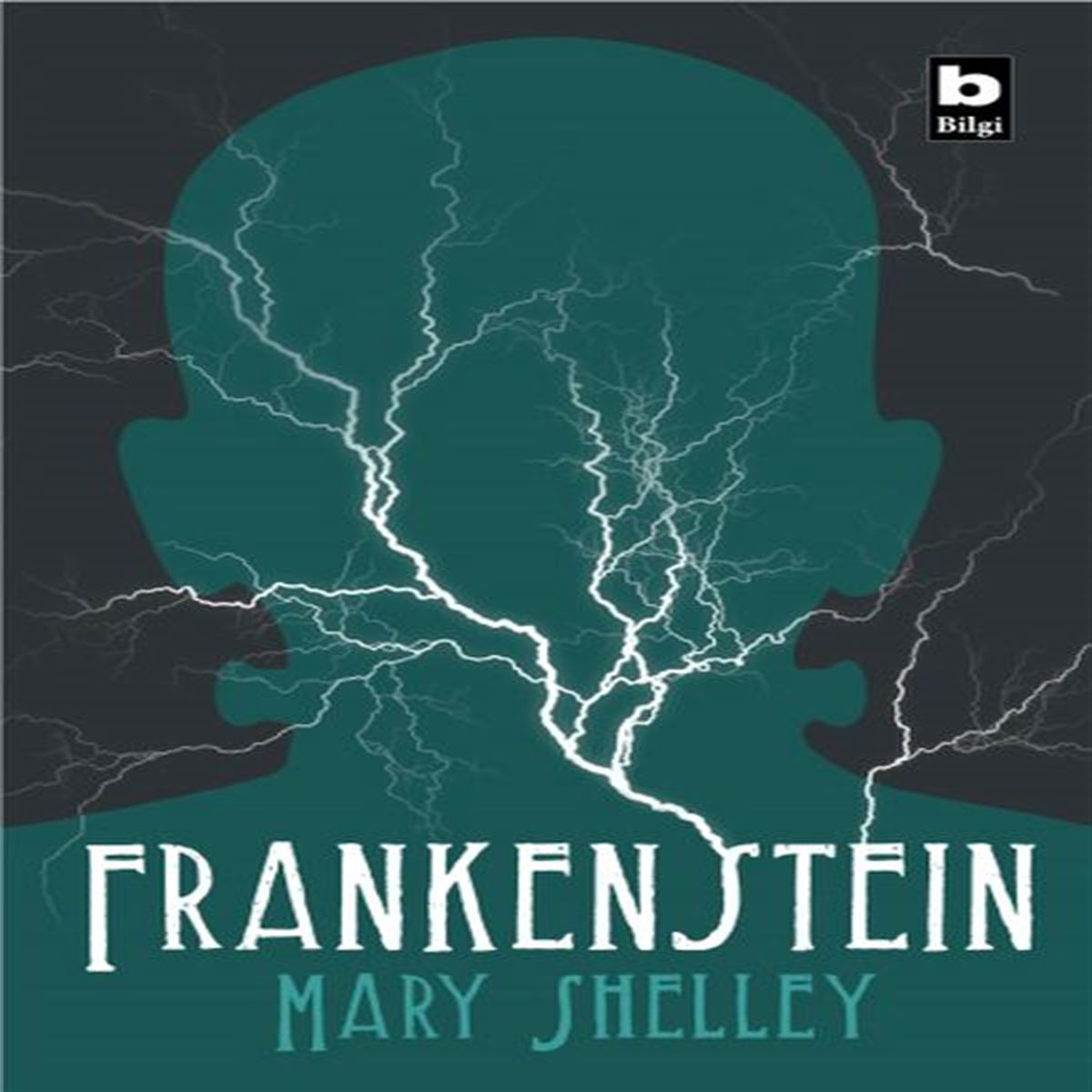 BİLGİ HİKAYE FRANKENSTEİN 1