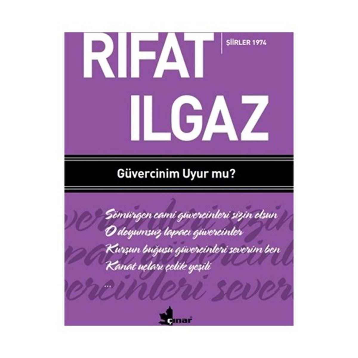 ÇINAR GÜVERCİNİM UYUR MU ŞİİRLER 1974 1