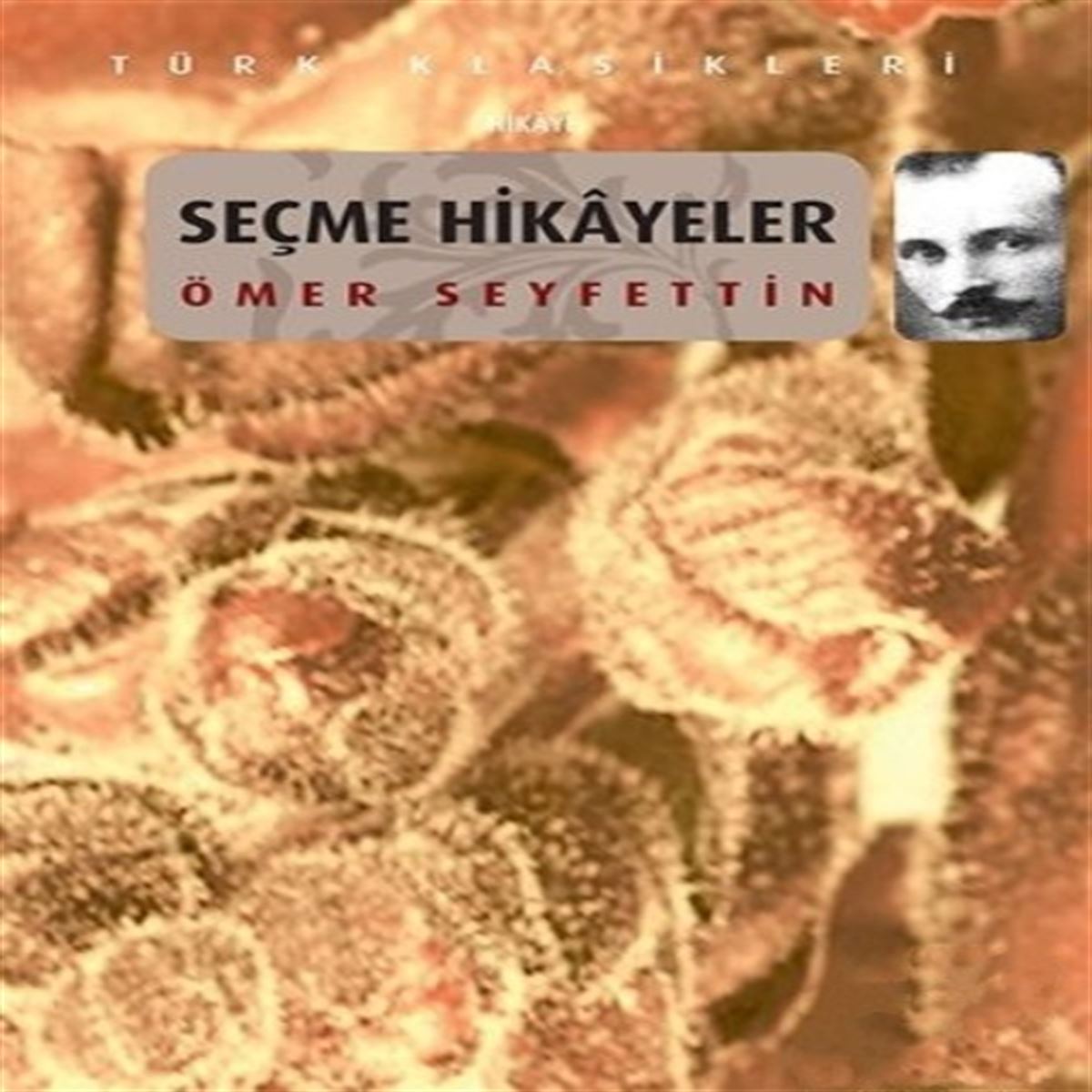 ÖZGÜR ÖMER SEYFETTİN SEÇME HİKAYELER 1