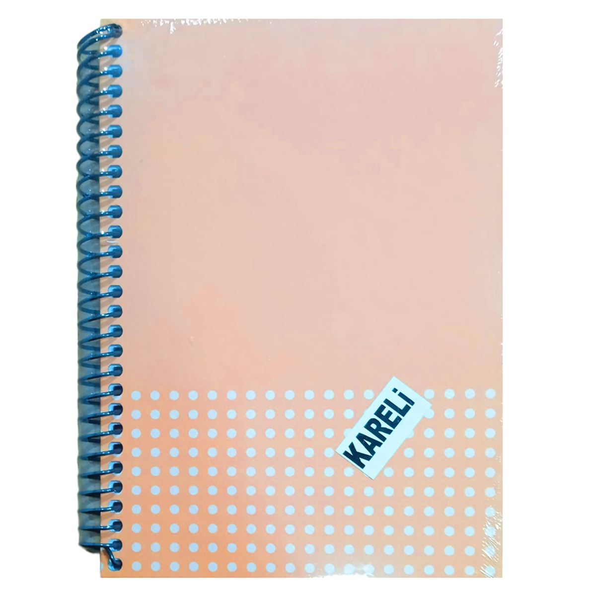 MCOLOR DEFTER DİARY 17x24 SERT KAPAK SPİRALLİ 100 YP KARELİ 1