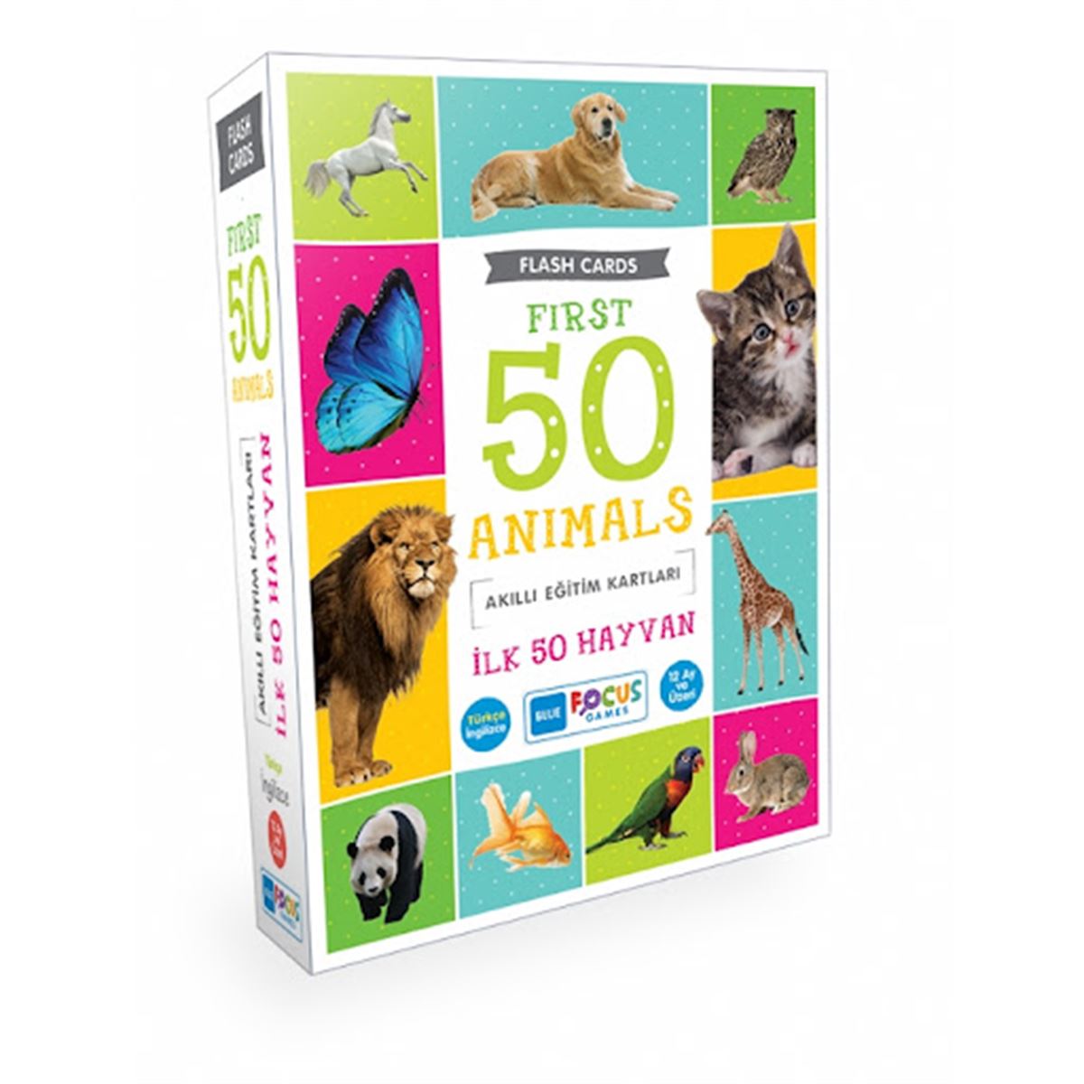 MAVİ LALE EĞİTİM İLK 50 HAYVAN 1
