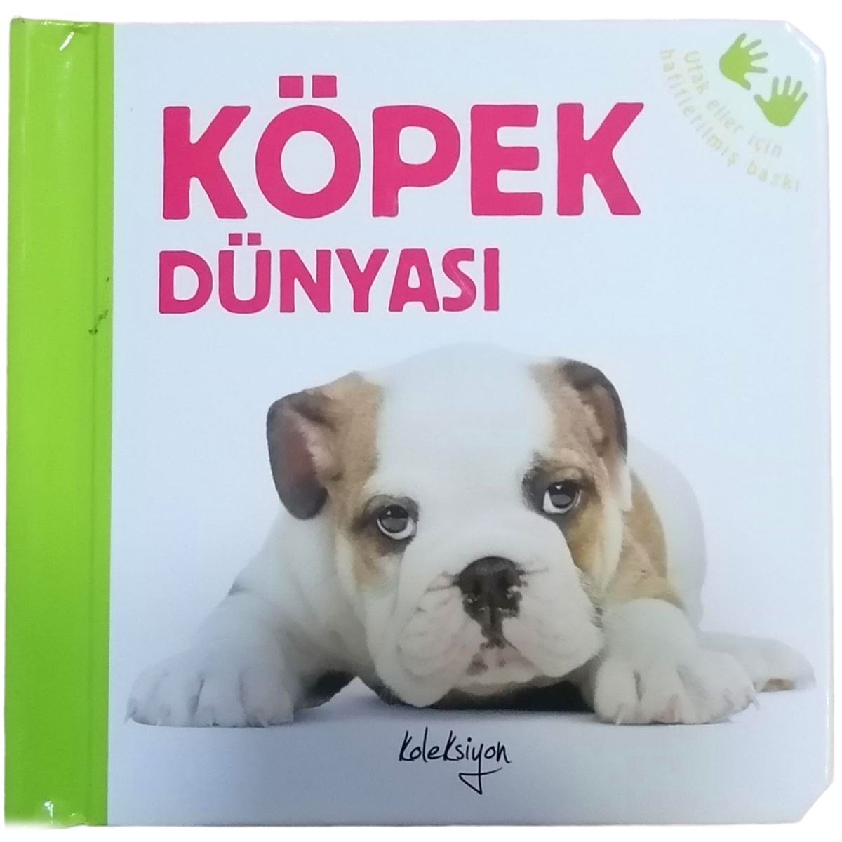 KOLEKSİYON EĞİTİM KİTABI KÖPEK DÜNYASI 1