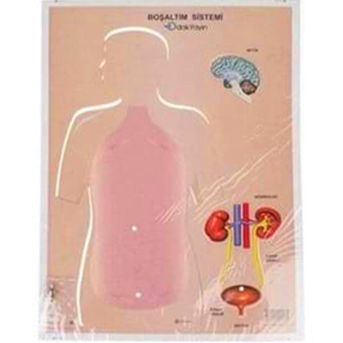 ODAK BOŞALTIM SİSTEMİ KARTON 35x50 1