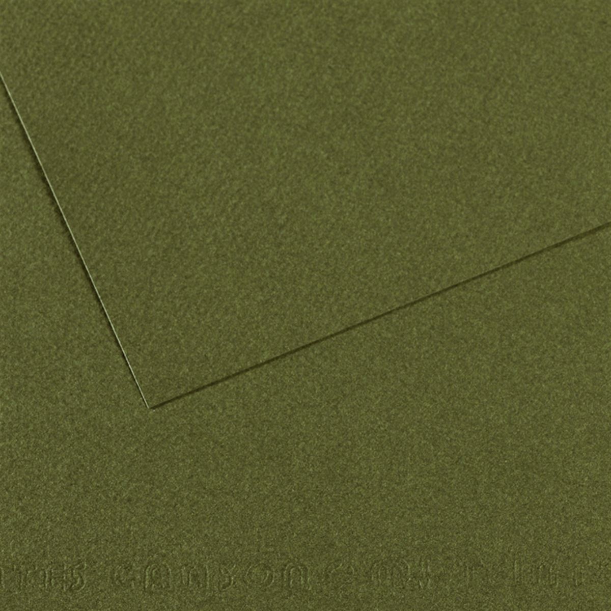 CANSON FON KARTONU 50X65 İVY 160 GR 25 Lİ 200331454-448 1