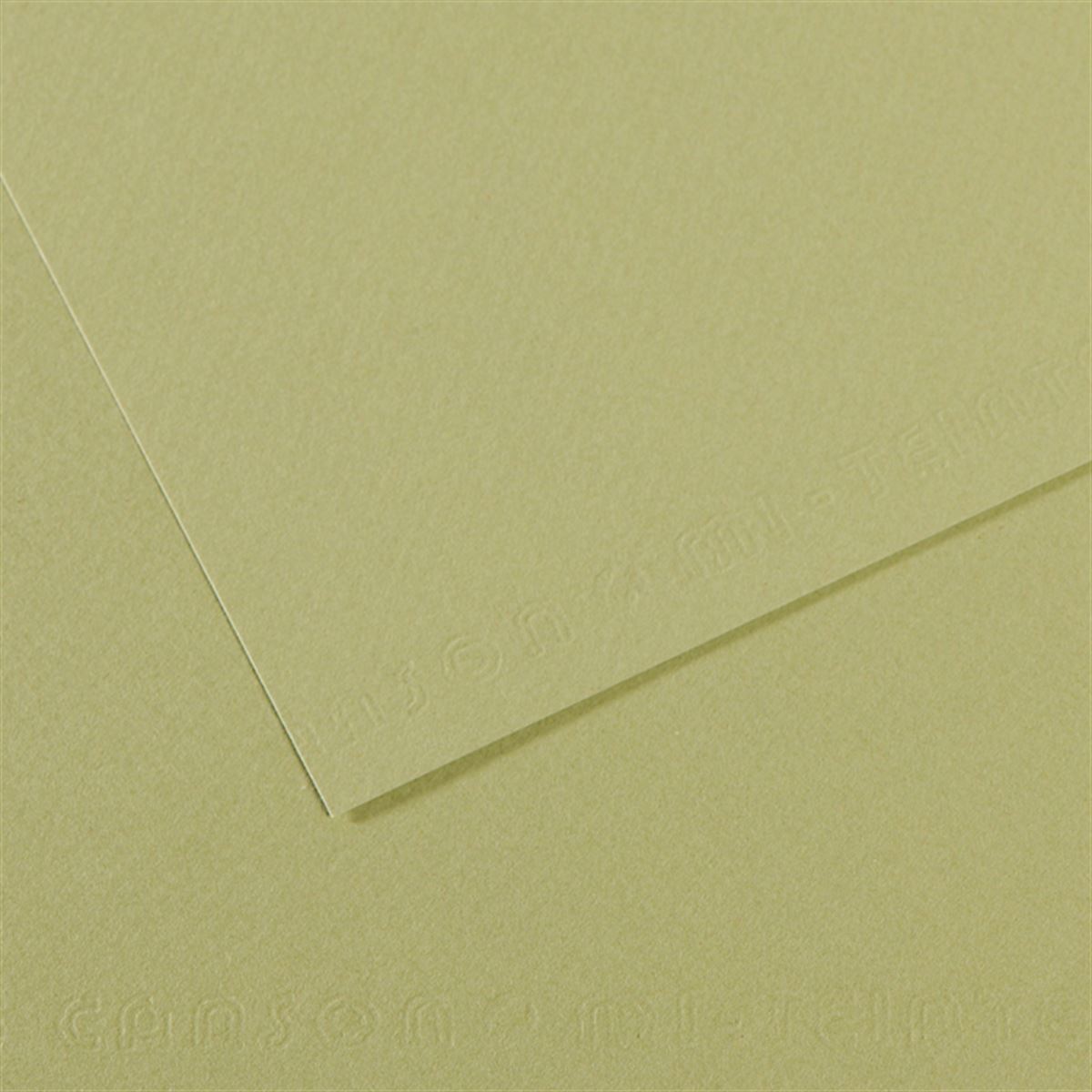 CANSON FON KARTONU 50X65 L.GREEN 160 GR 25 Lİ 164-480 1