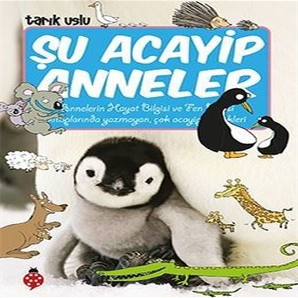 UĞURBÖCEĞİ HİKAYE ACAYİP ŞEYLER DİZİSİ 18 - ŞU ACAYİP ANNELER 1