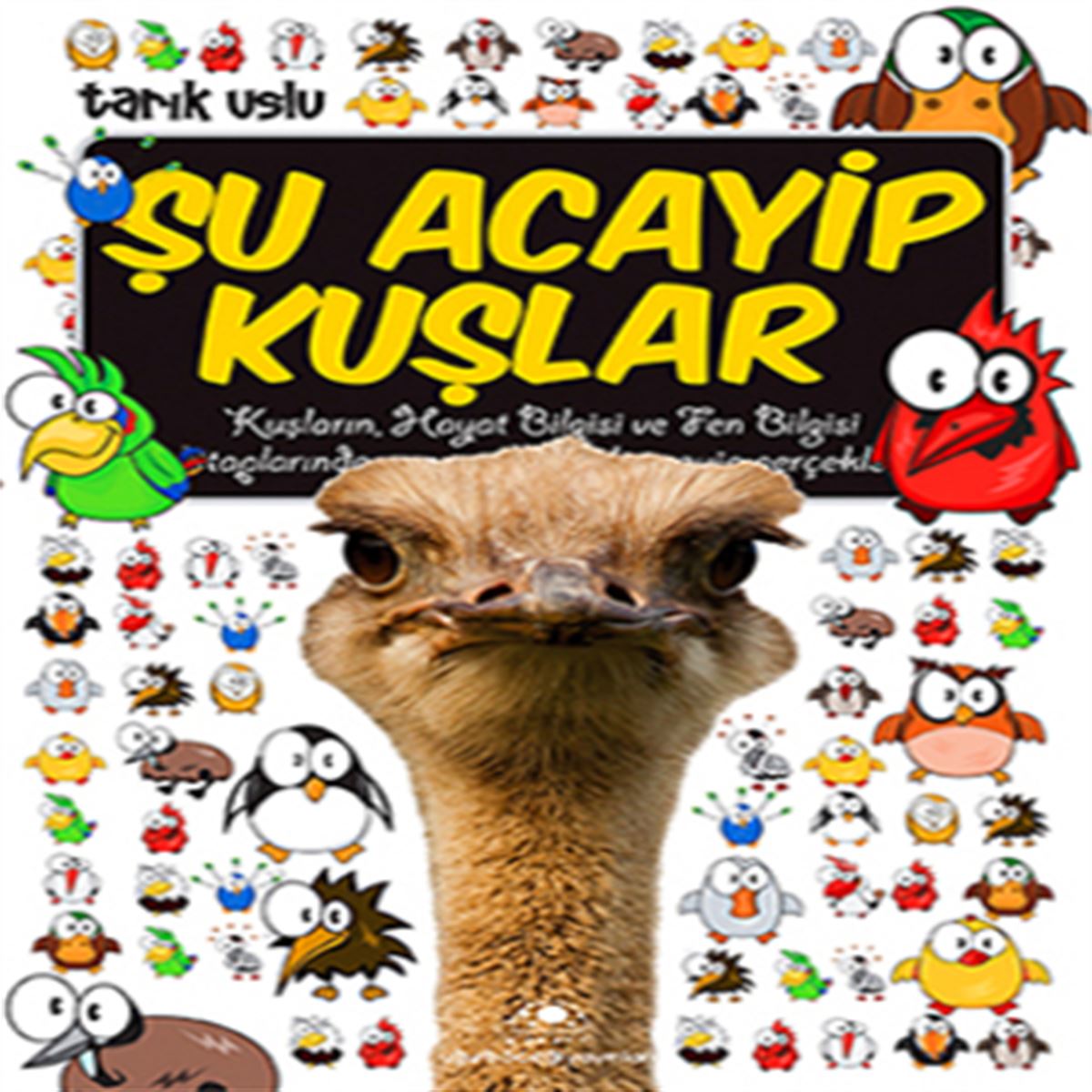 UĞURBÖCEĞİ HİKAYE ACAYİP ŞEYLER DİZİSİ-10: ŞU ACAYİP KUŞLAR 1
