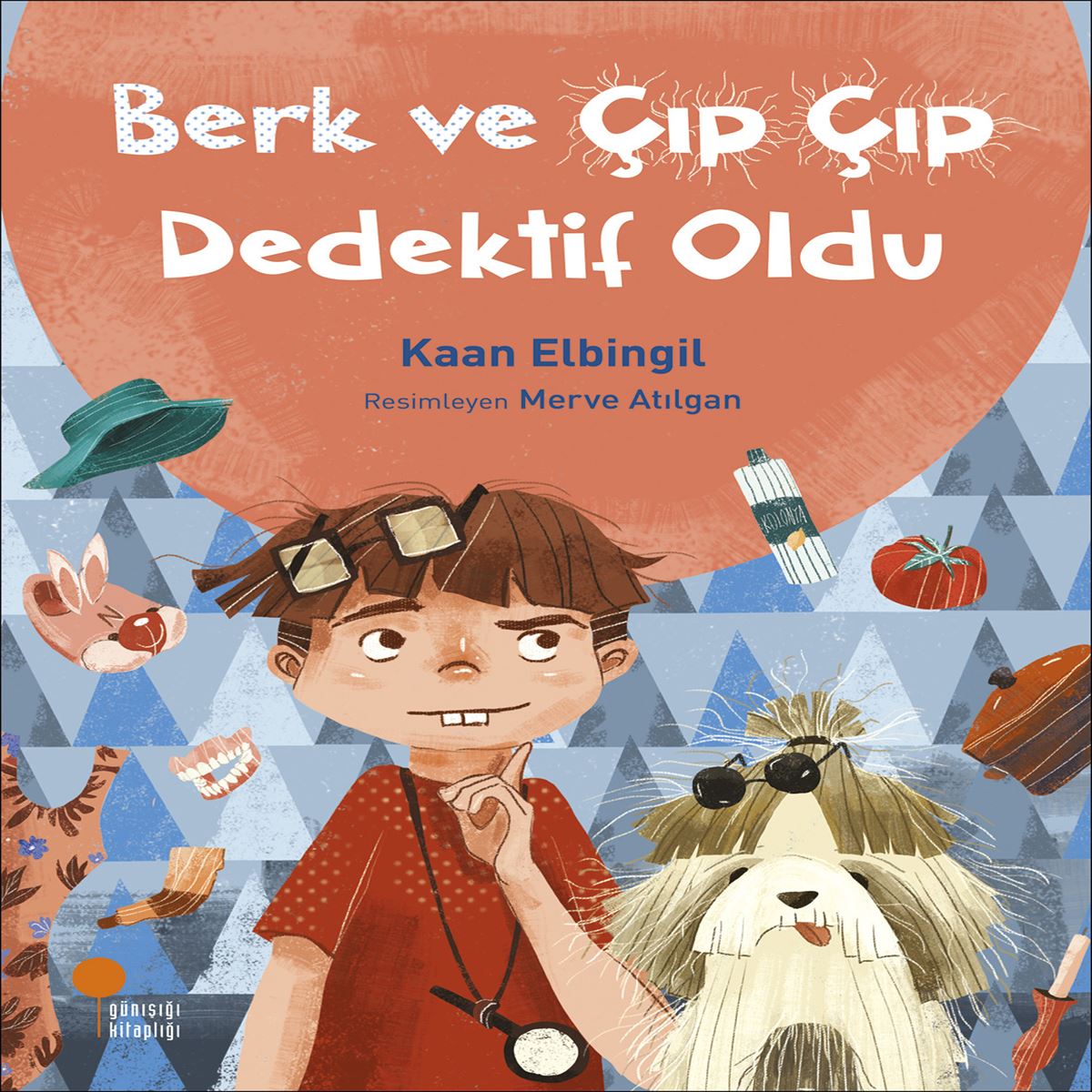 GÜNIŞIĞI BERK VE ÇIP ÇIP DEDEKTİF OLDU 1