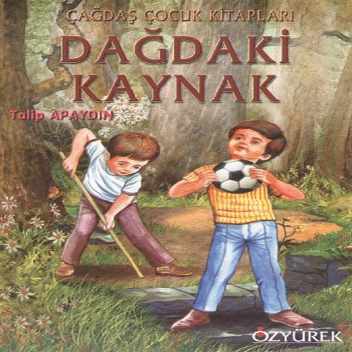 ÖZYÜREK HİKAYE DAĞDAKİ KAYNAK 1