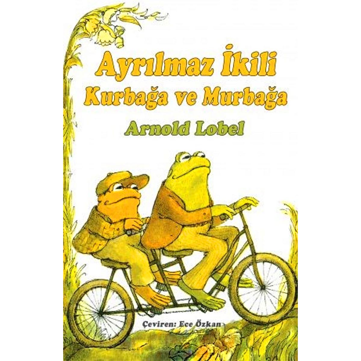 KELİME HİKAYE KURBAĞA VE MURBAĞA: AYRILMAZ İKİLİ 1