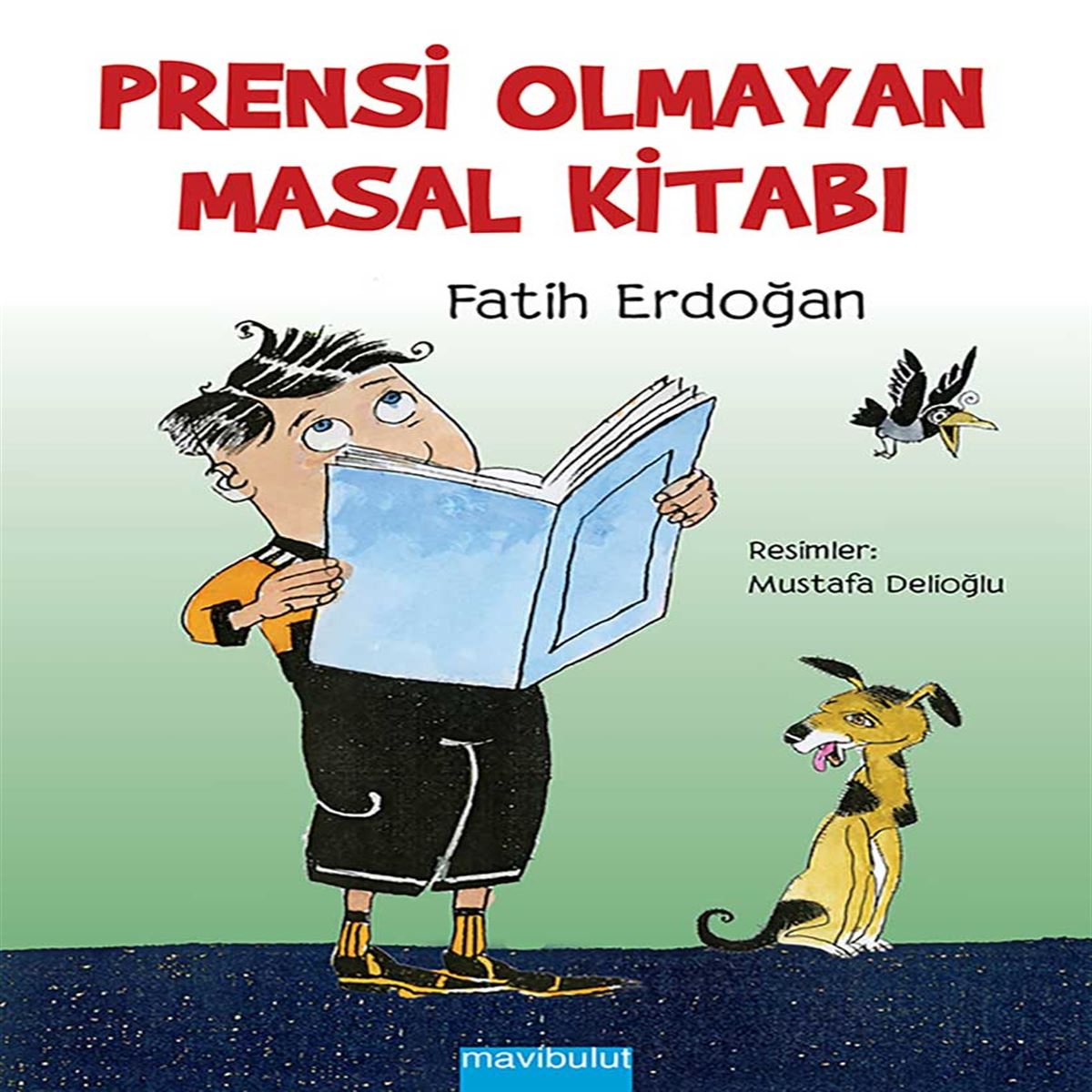 MAVİ BULUT HİKAYE PRENSİ OLMAYAN MASAL KİTABI 1