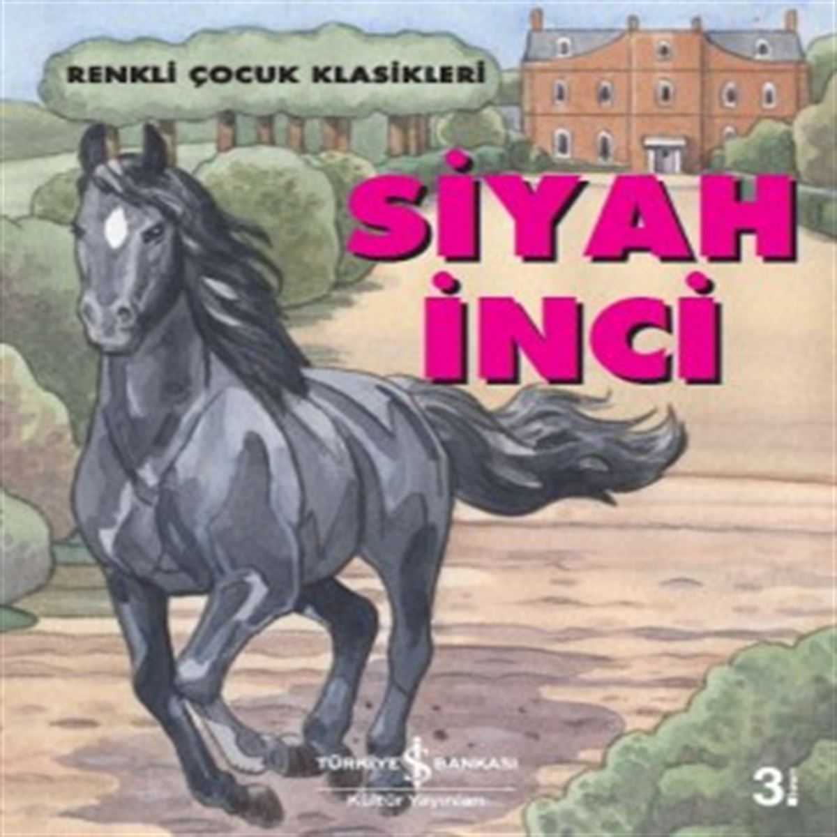 İŞ BANKASI RENKLİ ÇOCUK KLASİKLERİ SİYAH İNCİ 1
