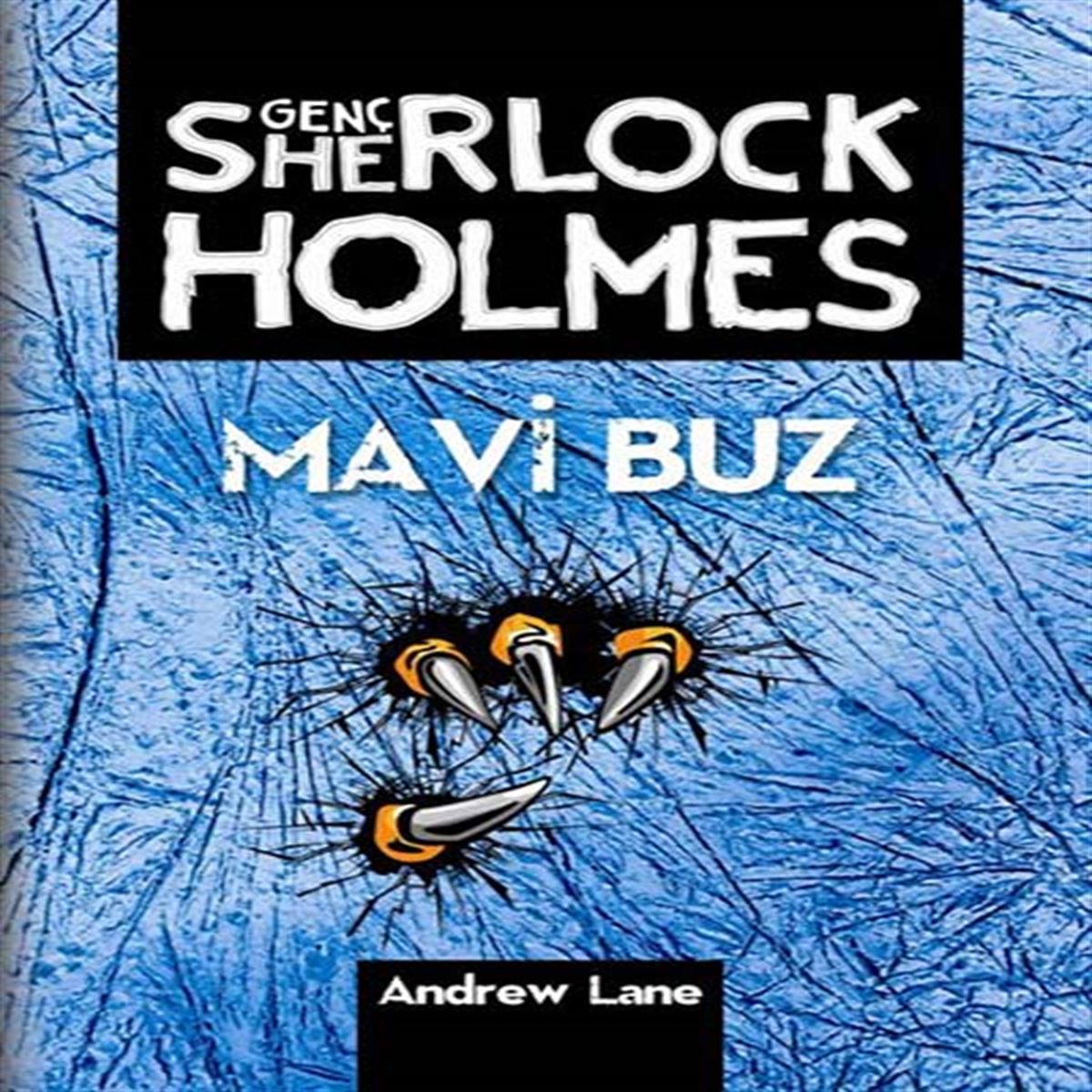 TUDEM HİKAYE SHERLOCK HOLMES - MAVİ BUZ İADESİZ 1