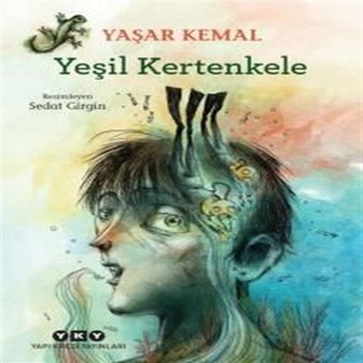 YAPI KREDİ YEŞİL KERTENKELE 1