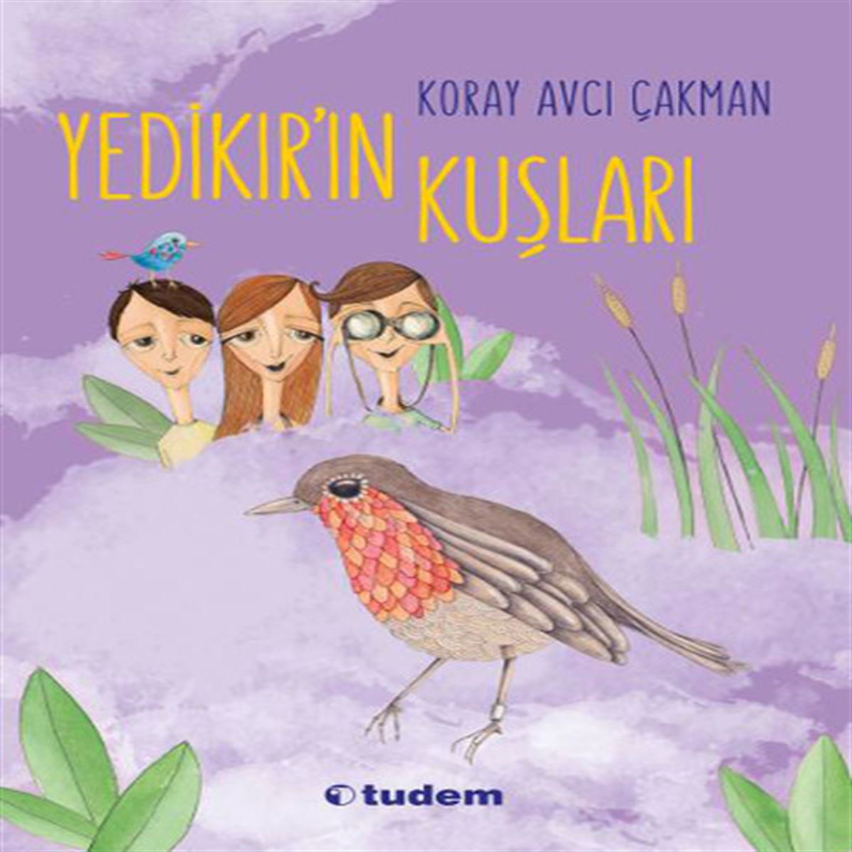 TUDEM HİKAYE YEDİKIRIN KUŞLARI İADESİZ 1