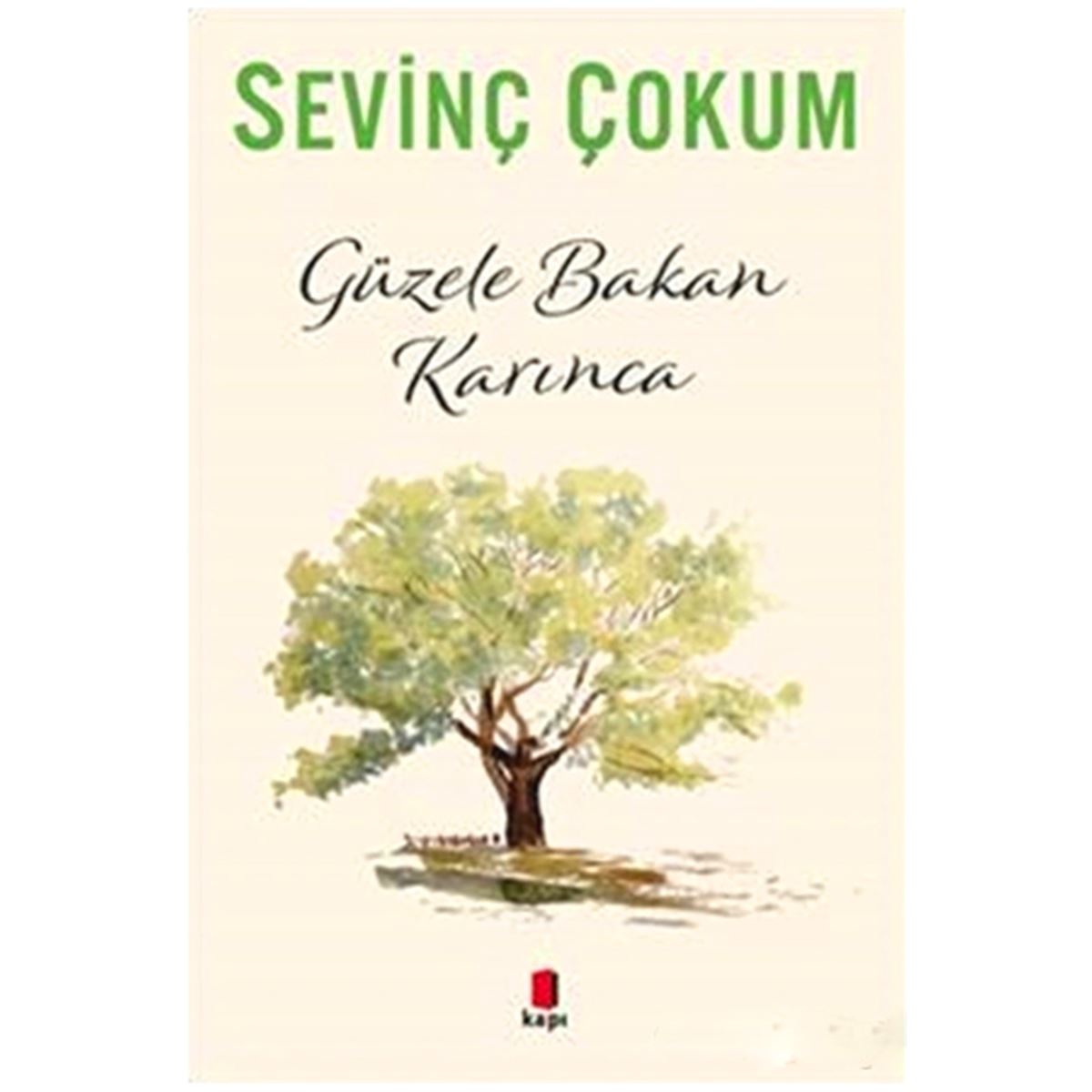 KAPI İNCELEME KİTABI GÜZELE BAKAN KARINCA 1