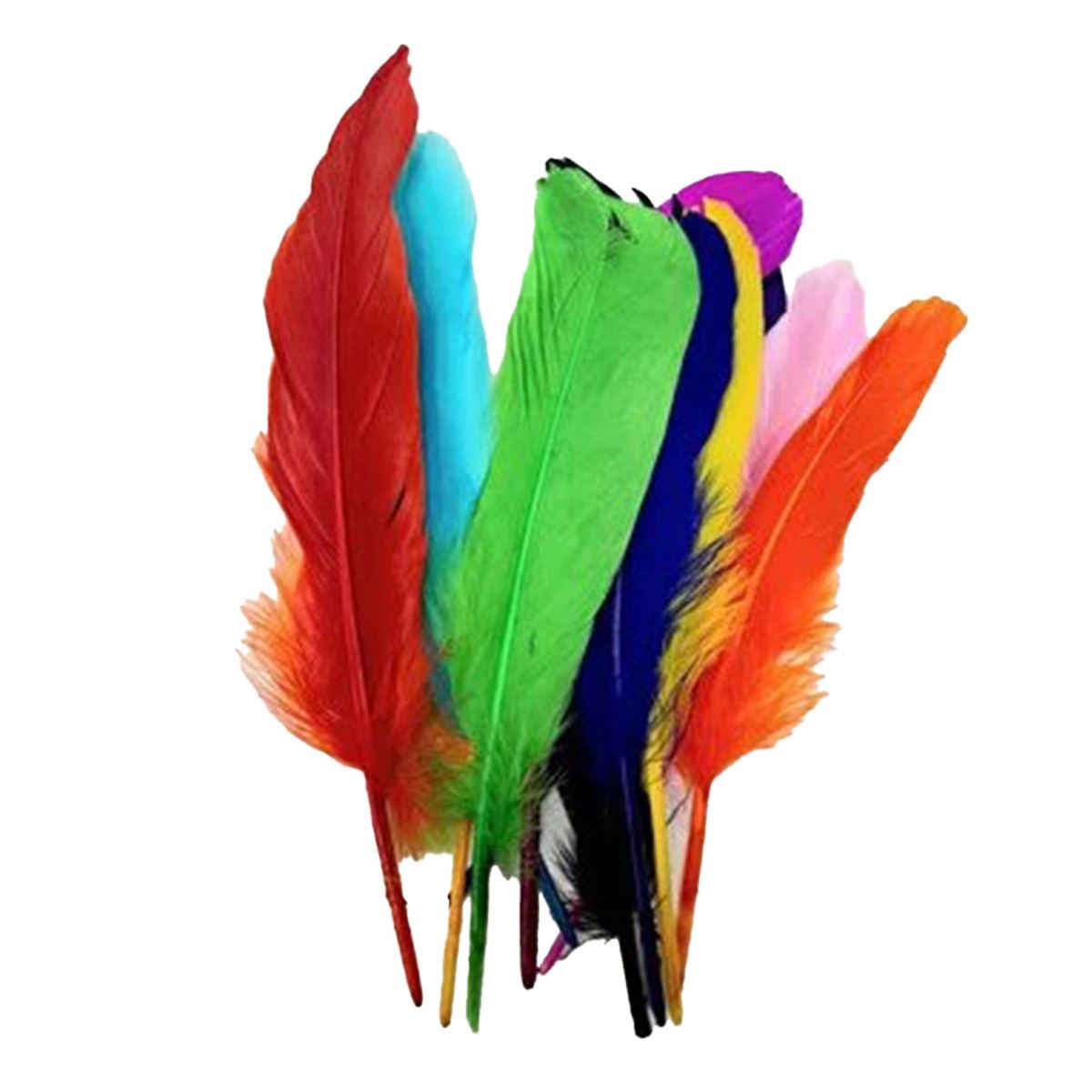 SÜDOR KUŞ TÜYÜ RENKLİ 12 Lİ SS25 1