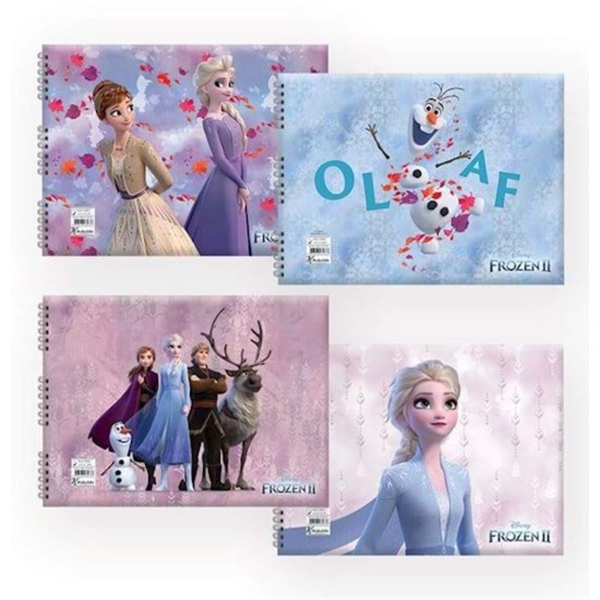 FROZEN II RESİM DEFTERİ SPİRALLİ KARTON KAPAK 17x25 15 YP 24 LÜ 300115-92 1