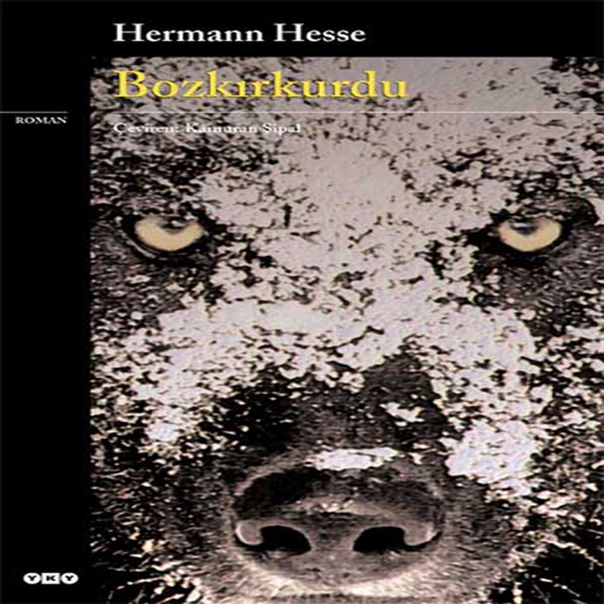 YAPI KREDİ ROMAN BOZKIRKURDU 1