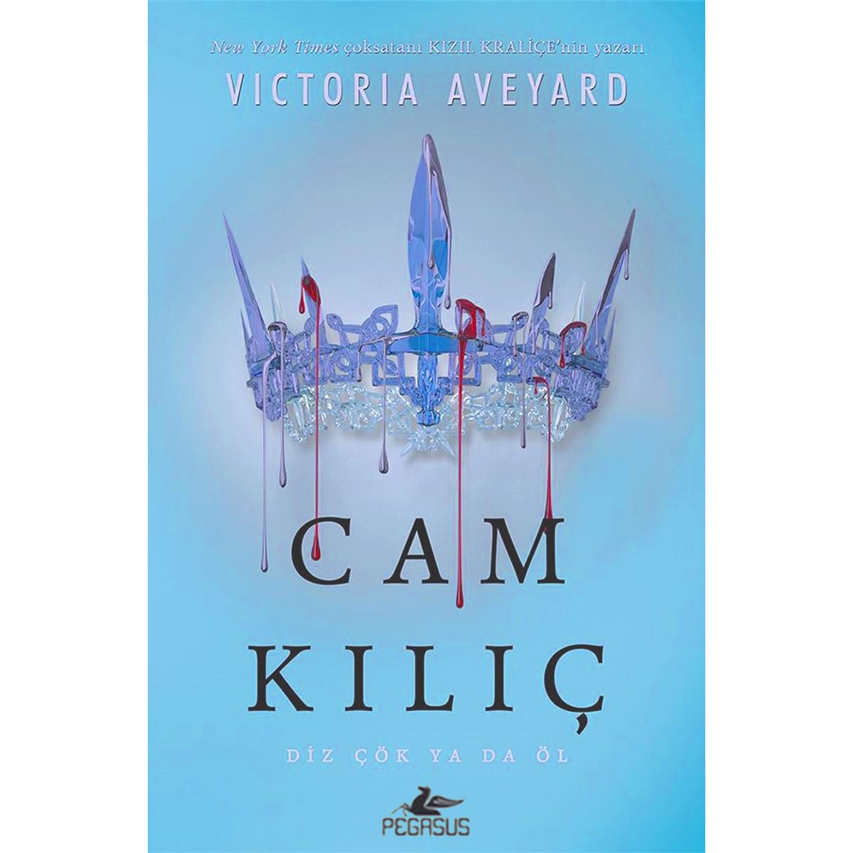 PEGASUS ROMAN CAM KILIÇ 1