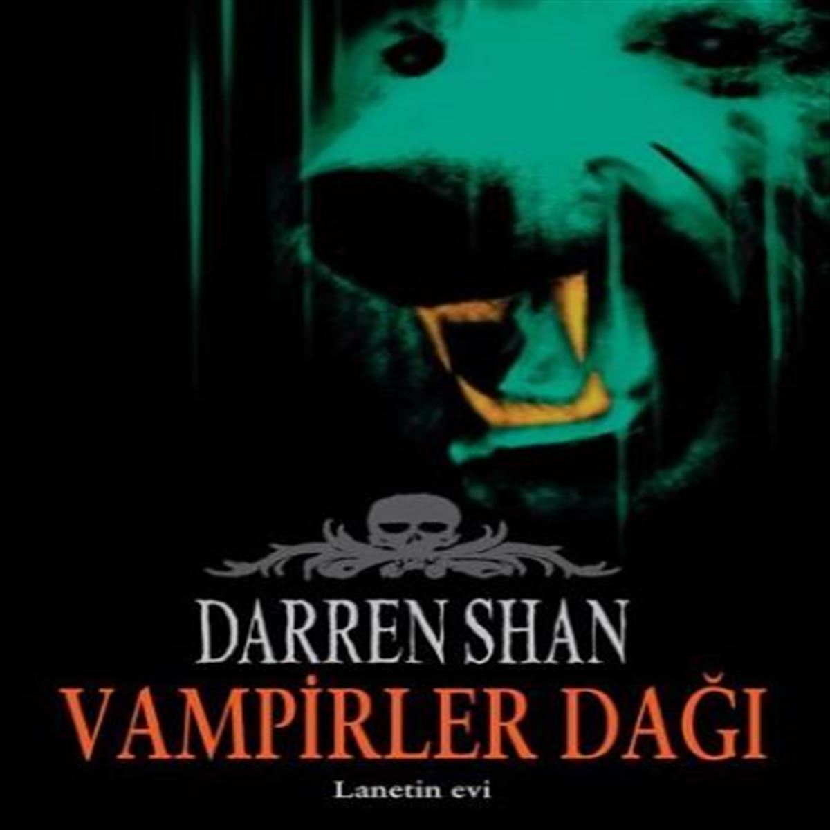 TUDEM ROMAN DARREN SHAN SERİSİ-4: VAMPİRLER DAĞI İADESİZ 1