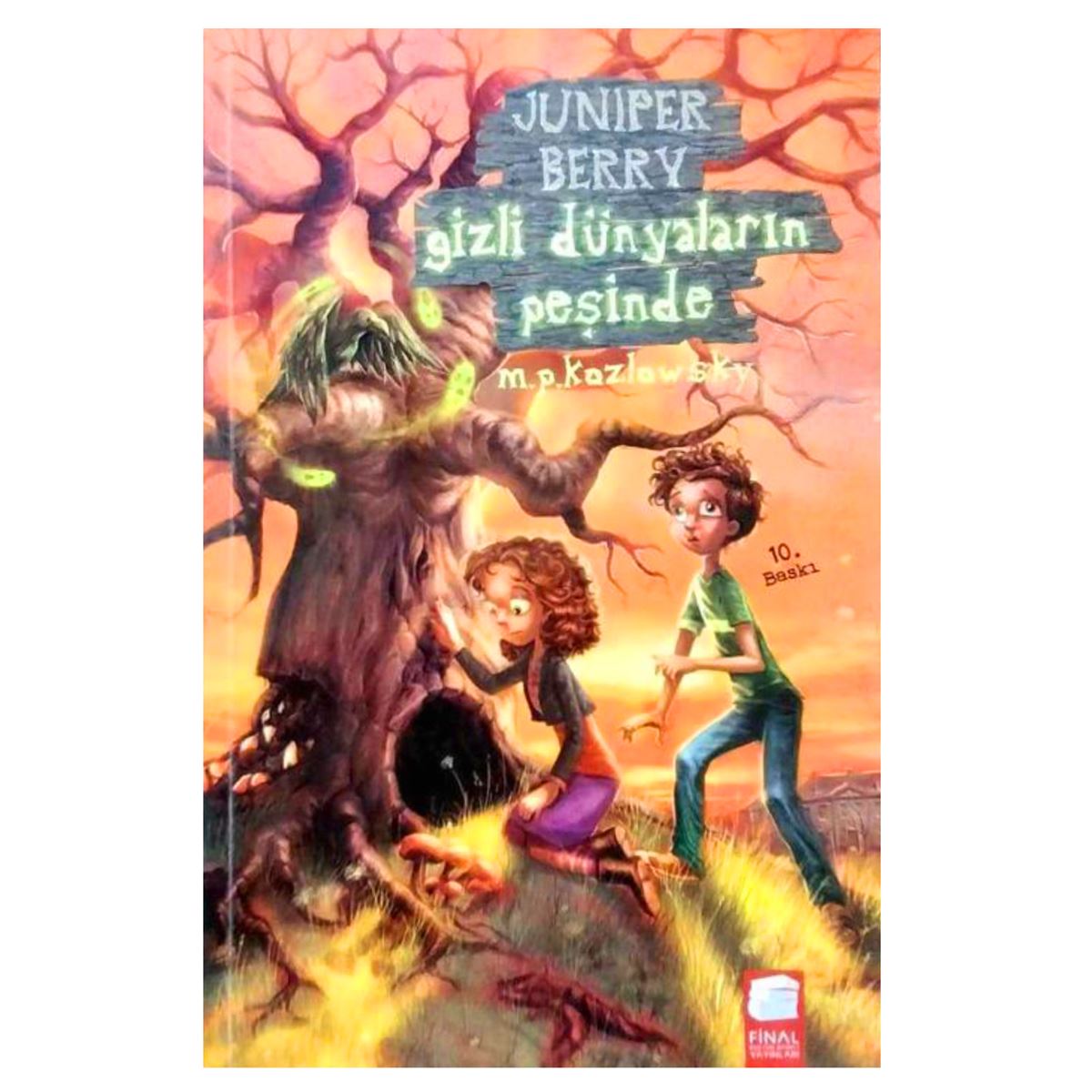 FİNAL ROMAN JUNIPER BERRY GİZLİ DÜNYALARIN PEŞİNDE 1