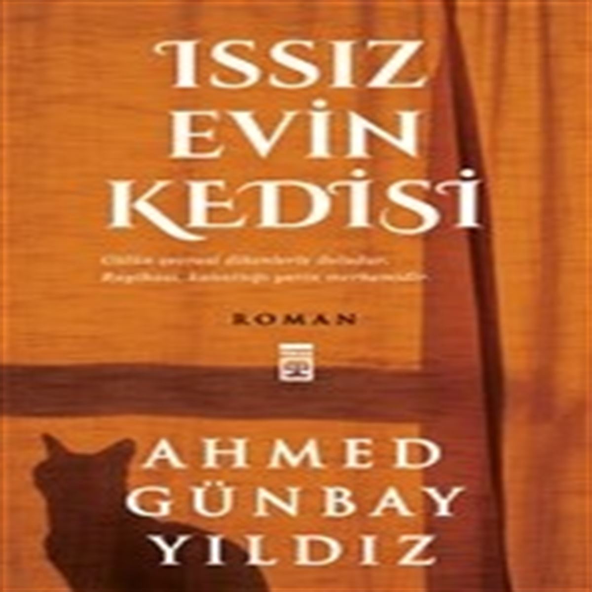 TİMAŞ ROMAN ISSIZ EVİN KEDİSİ 1