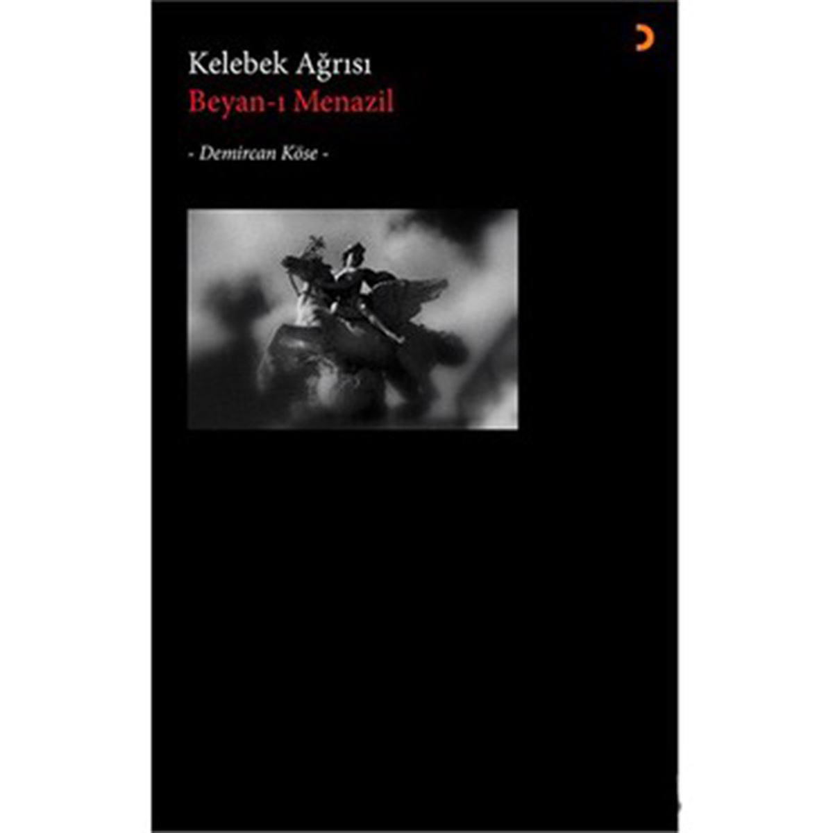 CINIUS ROMAN KELEBEK AĞRISI 1