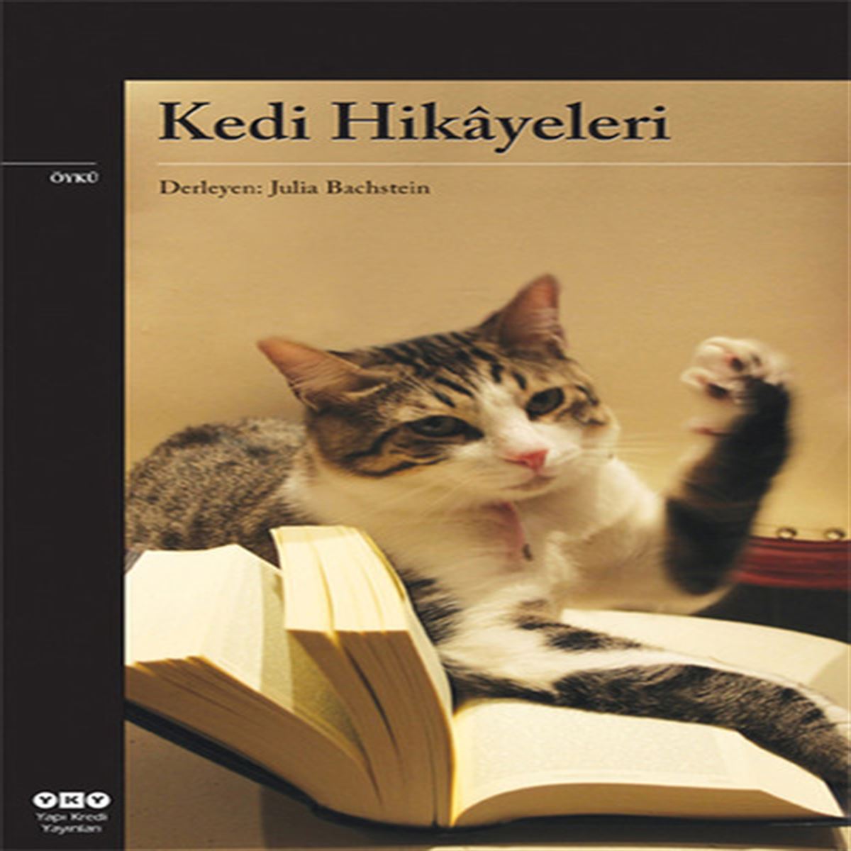 YAPI KREDİ ROMAN KEDİ HİKAYELERİ 1