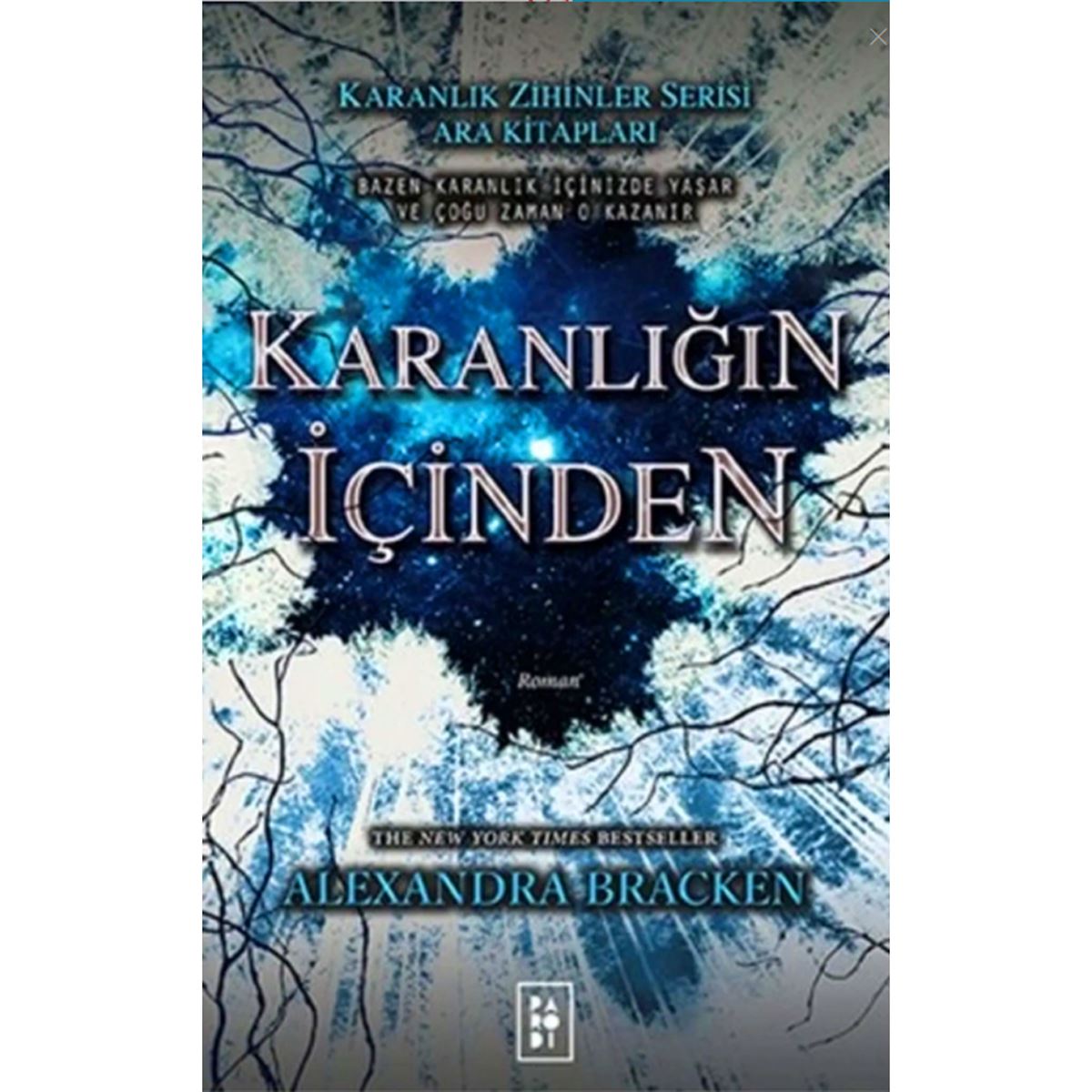 PARODI ROMAN KARANLIK ZIHINLER - KARANLIGIN İÇİNDEN 1