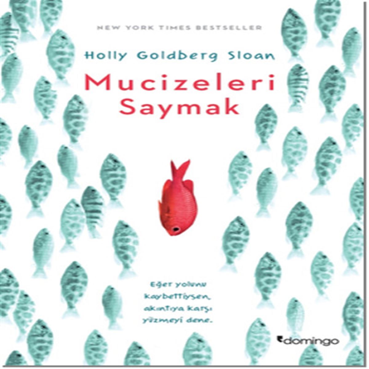 DOMİNGO ROMAN MUCİZELERI SAYMAK 1