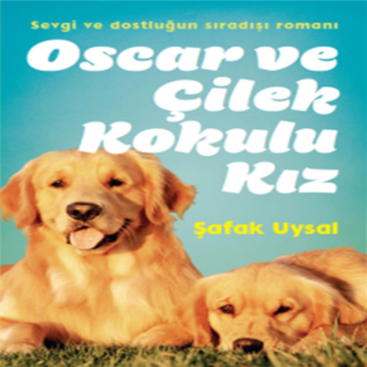 DOĞAN OSCAR VE ÇİLEK KOKULU KIZ 1