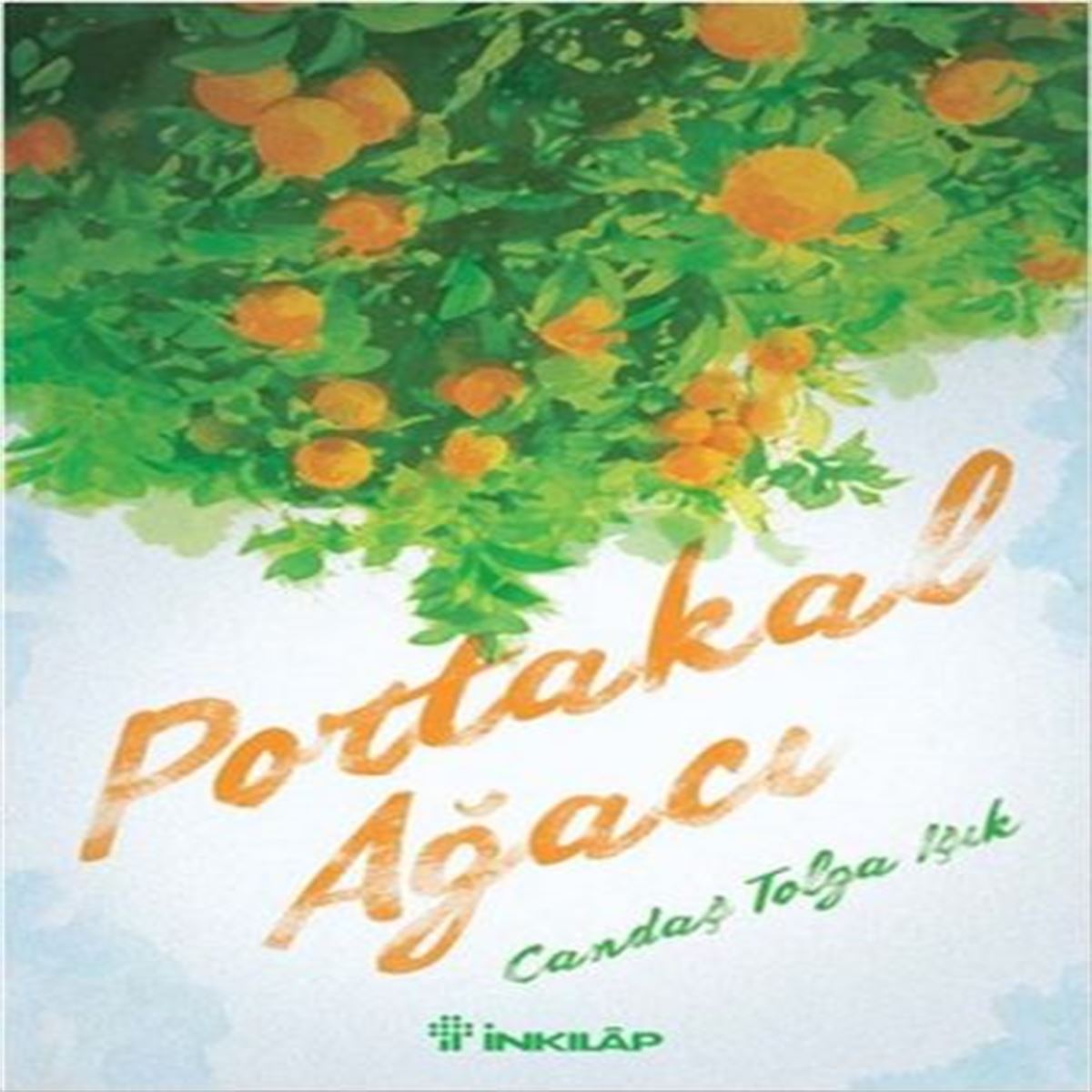 İNKİLAP ROMAN PORTAKAL AĞACI 1