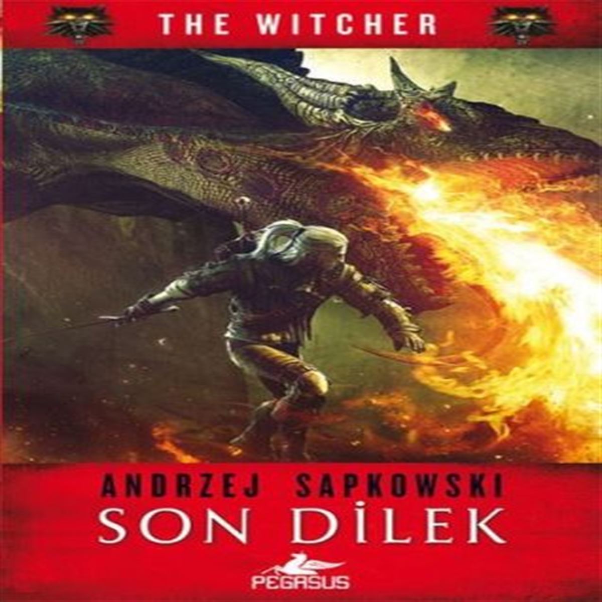 PEGASUS THE WİTCHER 1 SON DİLEK 1