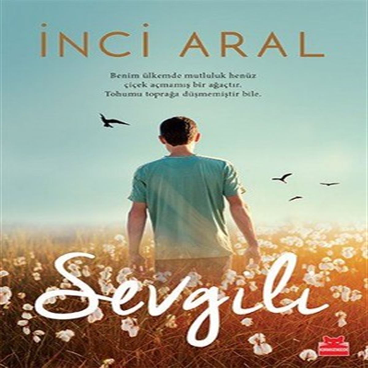 KIRMIZI KEDİ ROMAN SEVGİLİ 1