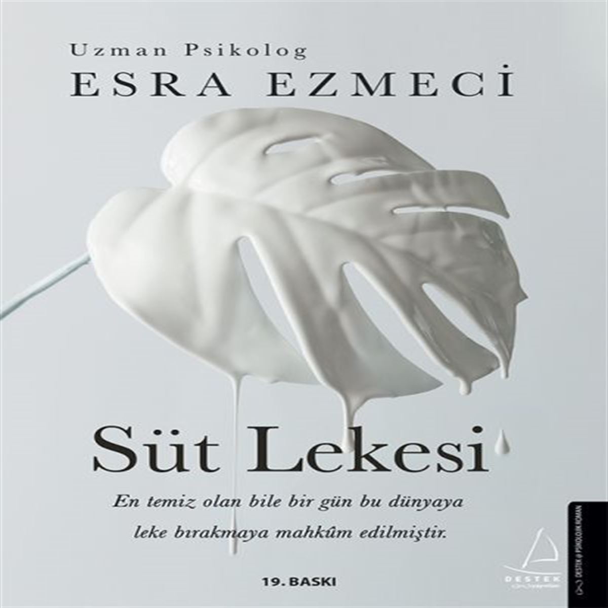 DESTEK ROMAN SÜT LEKESİ 1