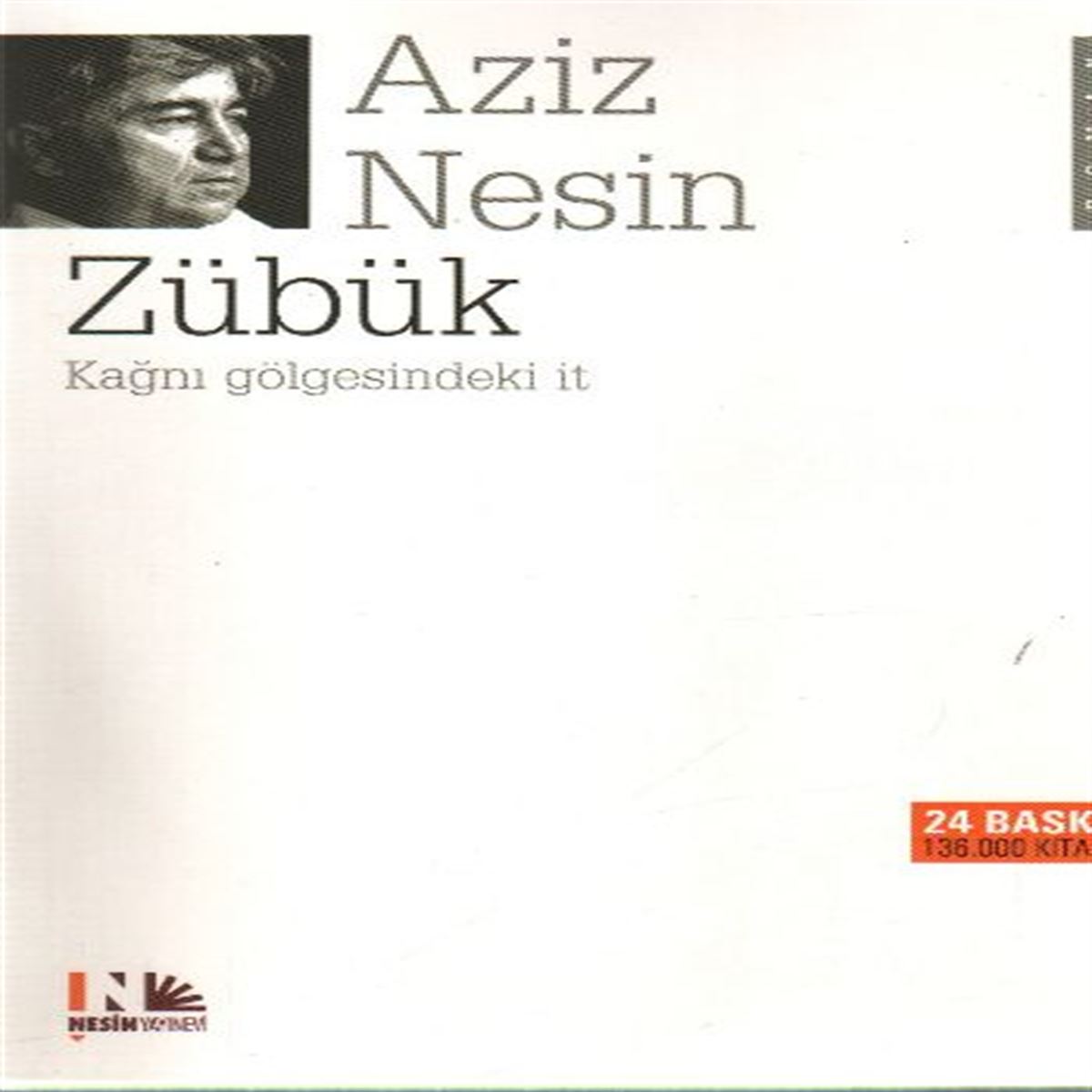 NESİN ROMAN ZÜBÜK 1
