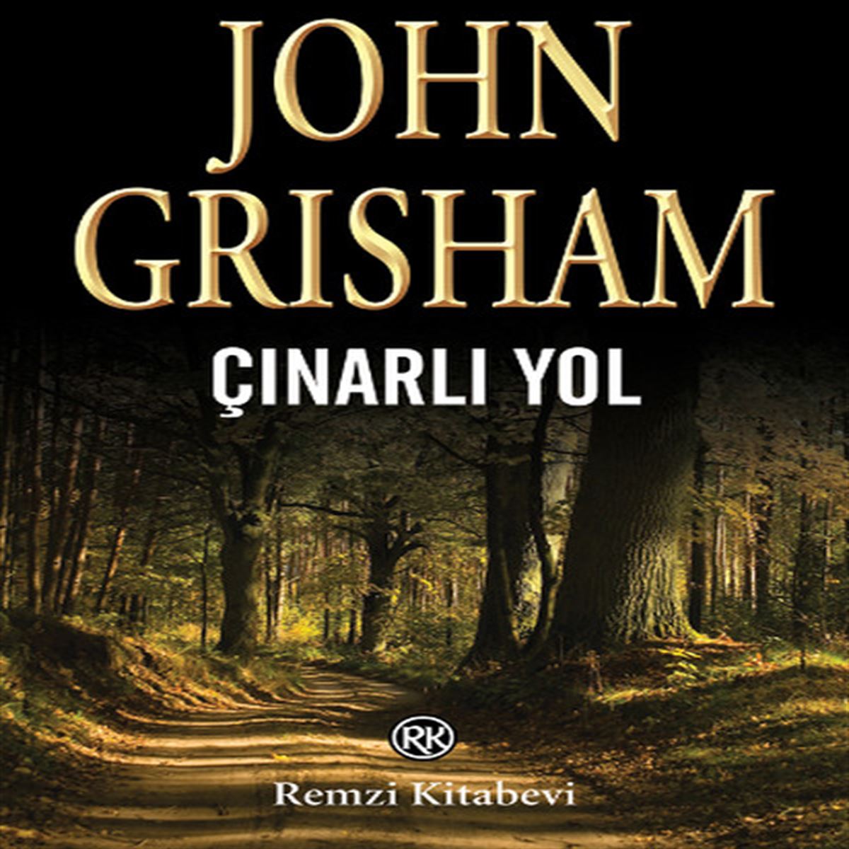 REMZI ROMAN ÇINARLI YOL 1