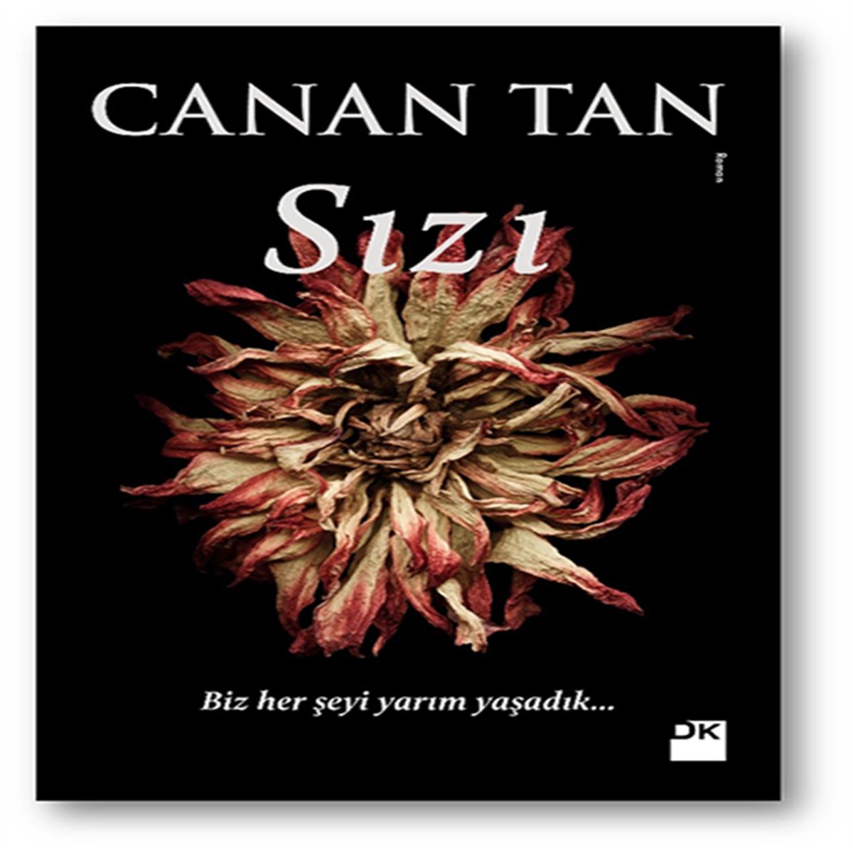 DOĞAN ROMAN SIZI 1
